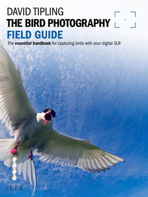cover image of The Bird Photography Field Guide